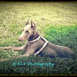 Meet your Posher, Ashlee